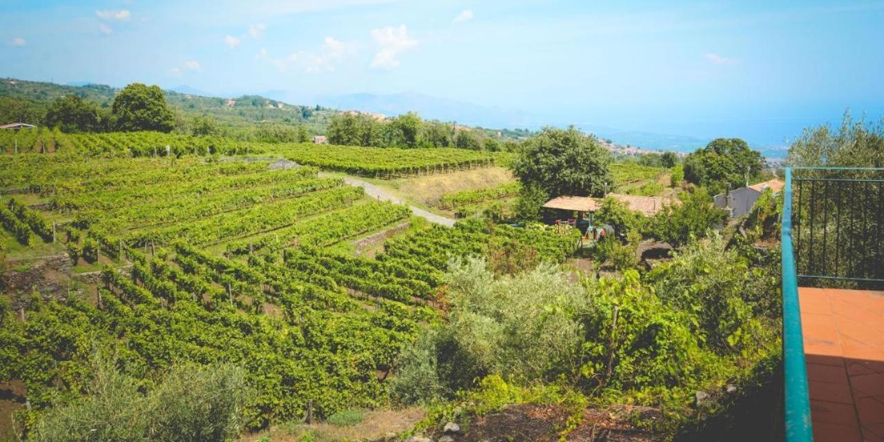 Le Case Del Merlo Turismo Rurale 米罗 外观 照片