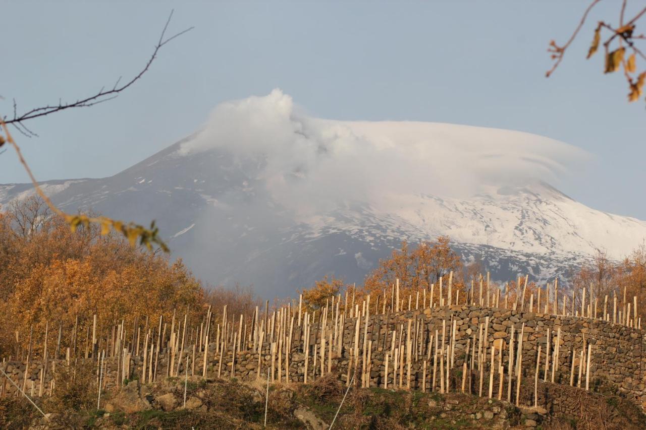 Le Case Del Merlo Turismo Rurale 米罗 外观 照片