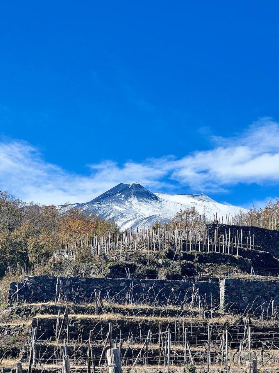 Le Case Del Merlo Turismo Rurale 米罗 外观 照片