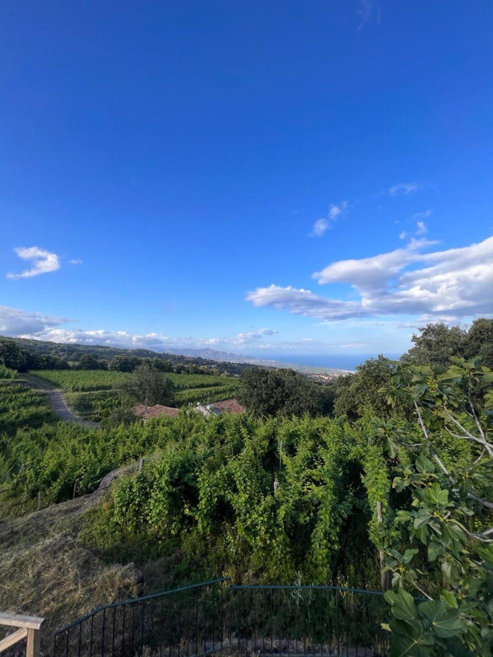 Le Case Del Merlo Turismo Rurale 米罗 外观 照片