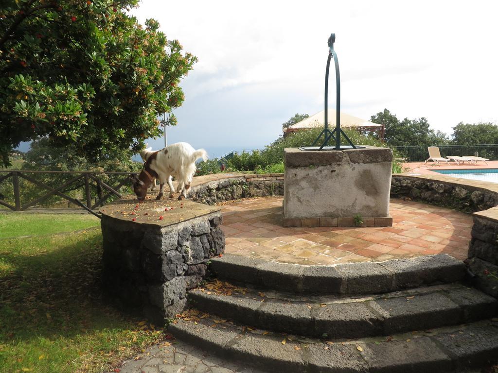 Le Case Del Merlo Turismo Rurale 米罗 外观 照片