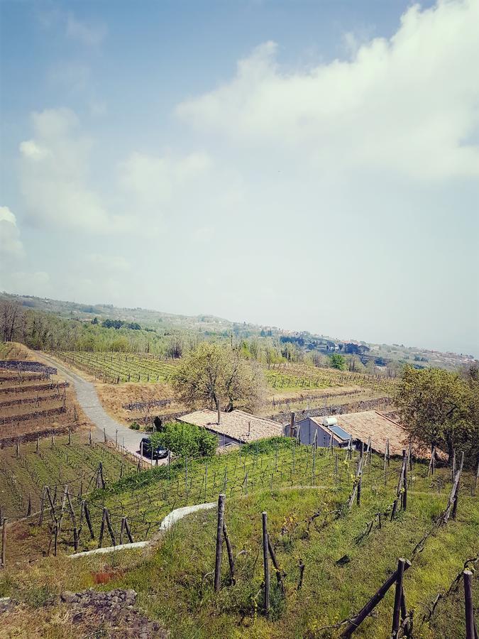 Le Case Del Merlo Turismo Rurale 米罗 外观 照片